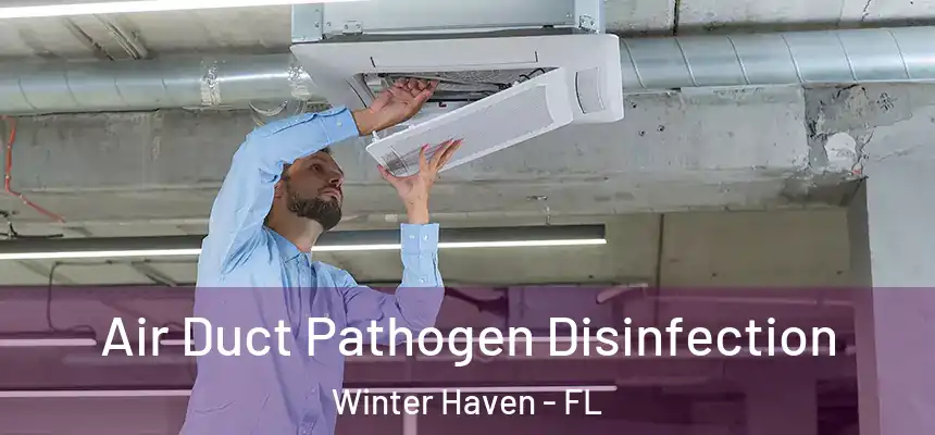 Air Duct Pathogen Disinfection Winter Haven - FL