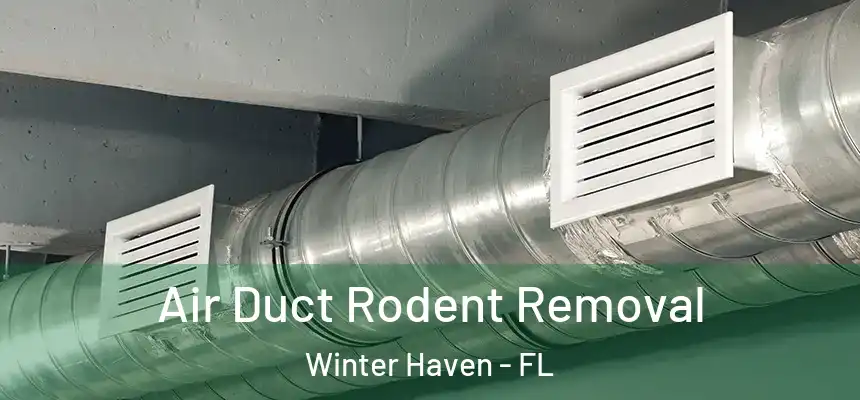 Air Duct Rodent Removal Winter Haven - FL