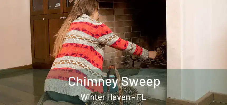 Chimney Sweep Winter Haven - FL