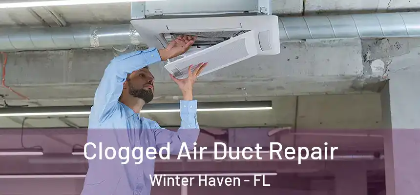 Clogged Air Duct Repair Winter Haven - FL