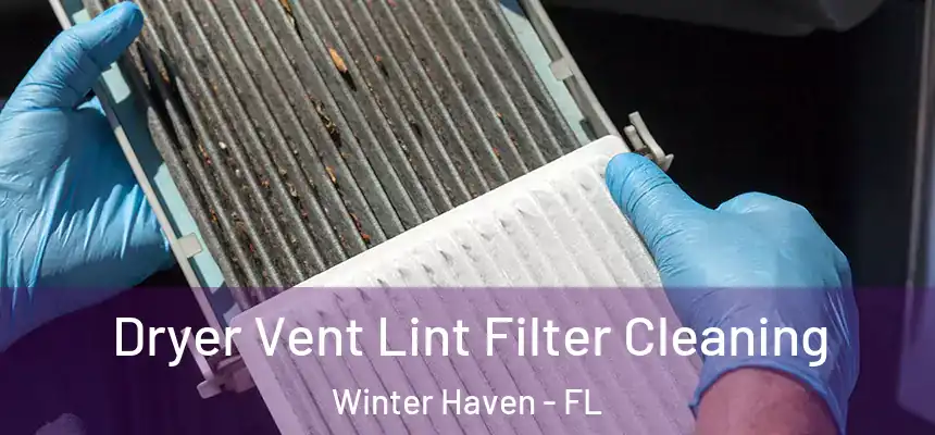 Dryer Vent Lint Filter Cleaning Winter Haven - FL