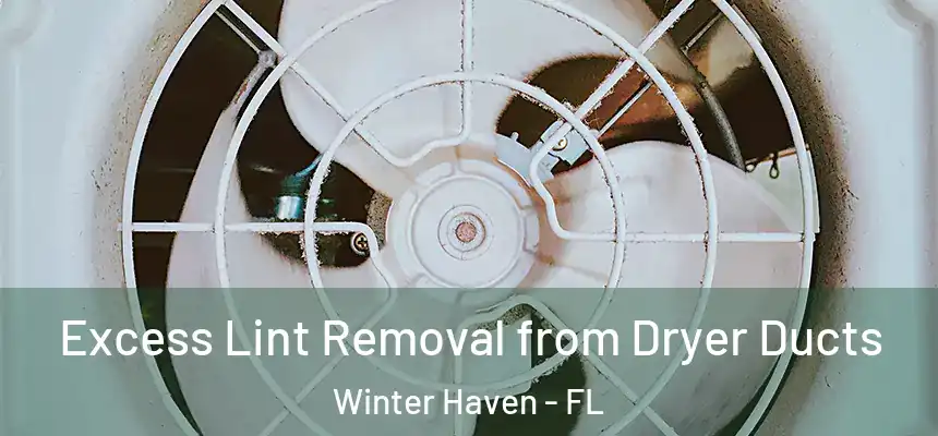 Excess Lint Removal from Dryer Ducts Winter Haven - FL
