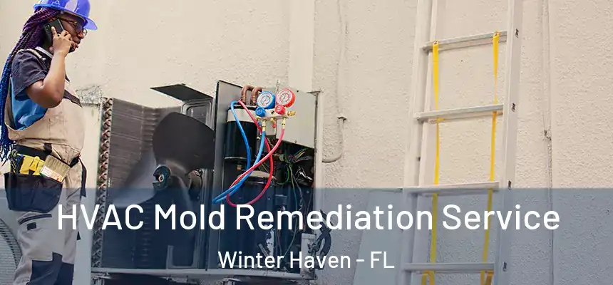  HVAC Mold Remediation Service Winter Haven - FL
