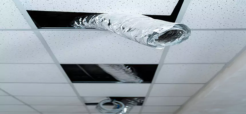 Our Air Duct Pet Hair Removal Services in Winter Haven, FL