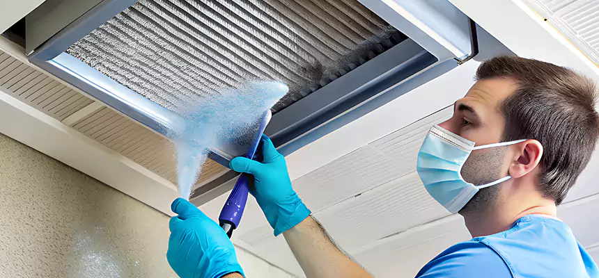 Proactive Dryer Vent & Auxiliary Duct Pollen Cleanup in Winter Haven, FL