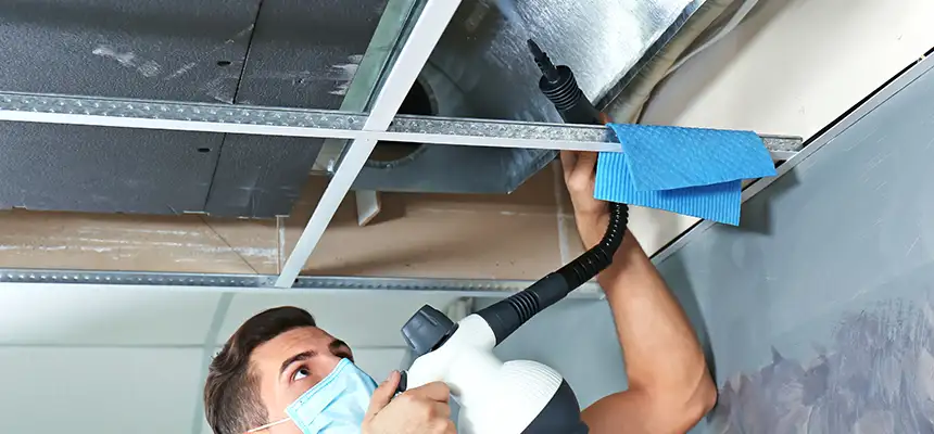 Our Air Duct Rodent Removal Services in Winter Haven, FL