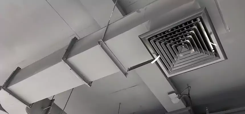 Restorative Allergy Relief Vent Cleaning – Coil, Blower & Housing Detail in Winter Haven