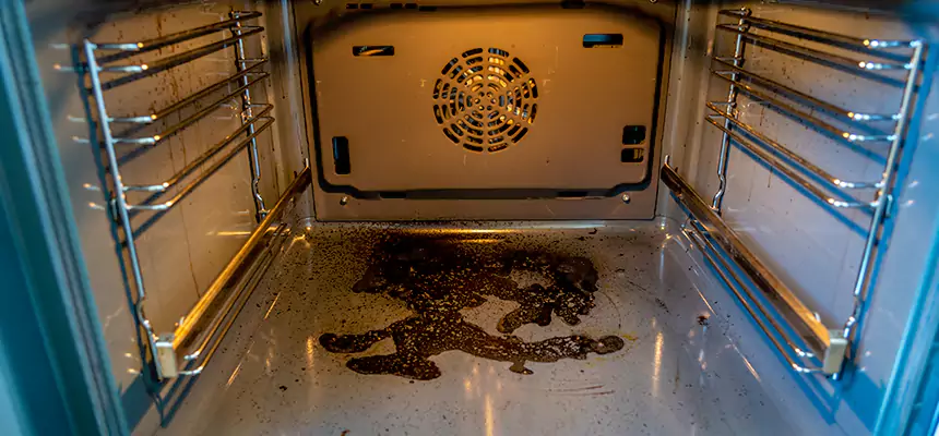 Our Dryer Vent Mold Cleaning Services in Winter Haven, FL