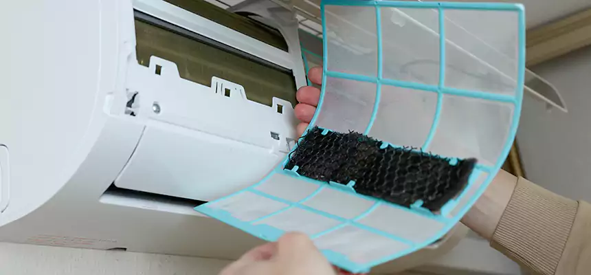 Gentle Ductwork Odor-Control Pet Dander Duct Cleaning in Winter Haven, FL