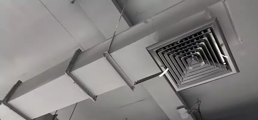 Our Rodent Droppings In Vents Services in Winter Haven, FL