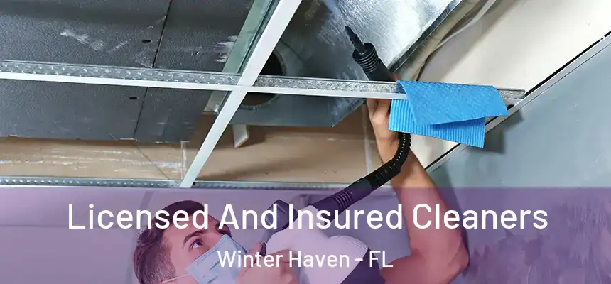 Licensed And Insured Cleaners Winter Haven - FL