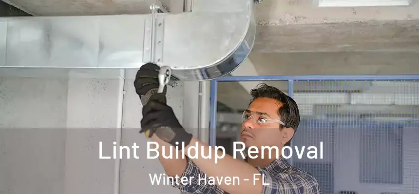 Lint Buildup Removal Winter Haven - FL