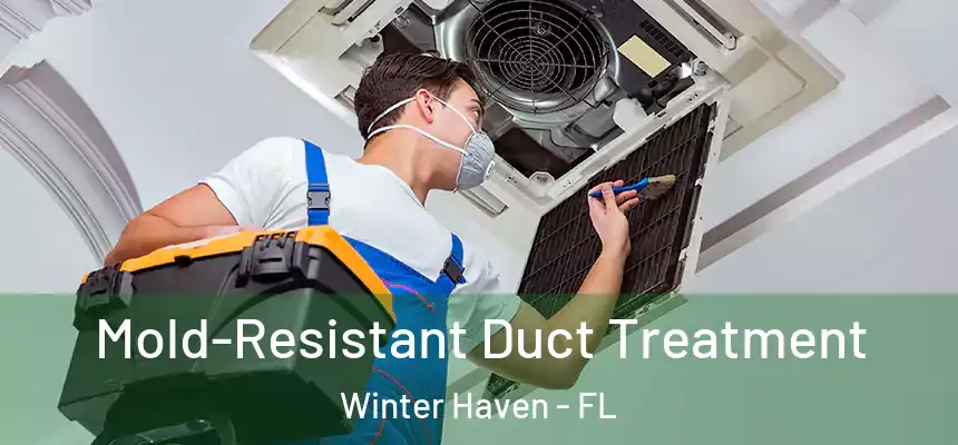 Mold-Resistant Duct Treatment Winter Haven - FL