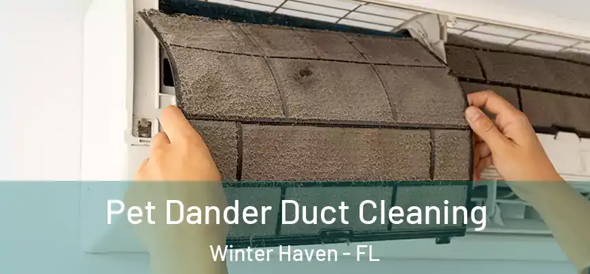 Pet Dander Duct Cleaning Winter Haven - FL