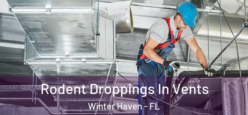 Rodent Droppings In Vents Winter Haven - FL
