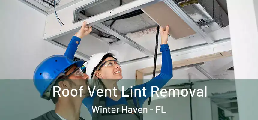 Roof Vent Lint Removal Winter Haven - FL