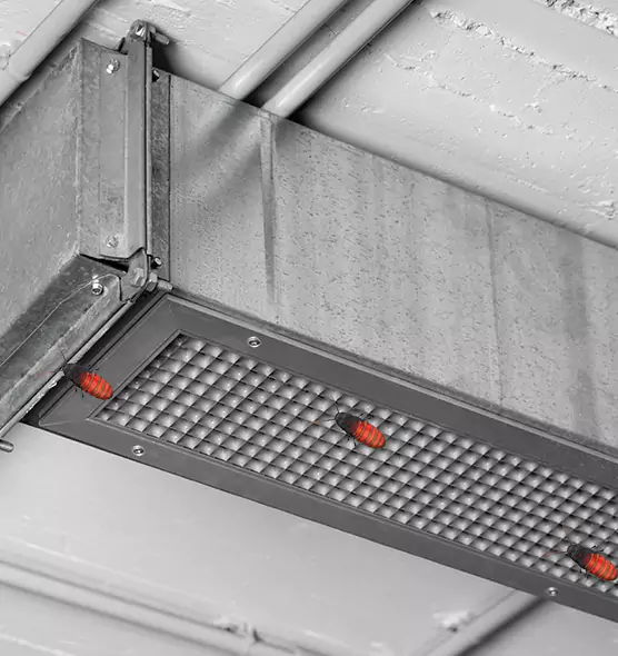 About Air Duct Cockroach Removal in Winter Haven, FL