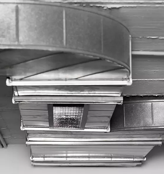 Professional Air Duct Pet Hair Removal in Winter Haven, FL