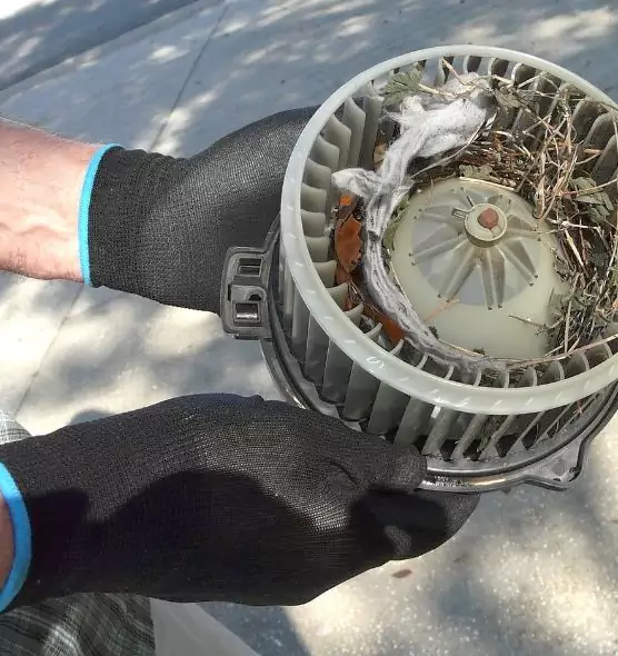 About Air Duct Rat Removal in Winter Haven, FL