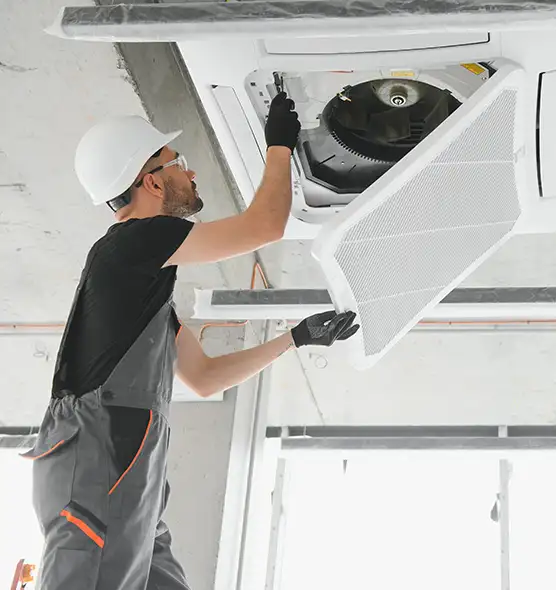 About Air Duct Rodent Removal in Winter Haven, FL