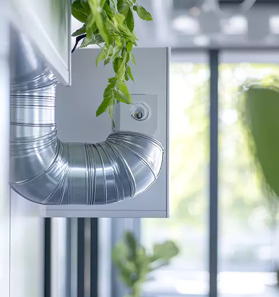 Professional Eco-Safe Dryer Vent Cleaning in Winter Haven, FL