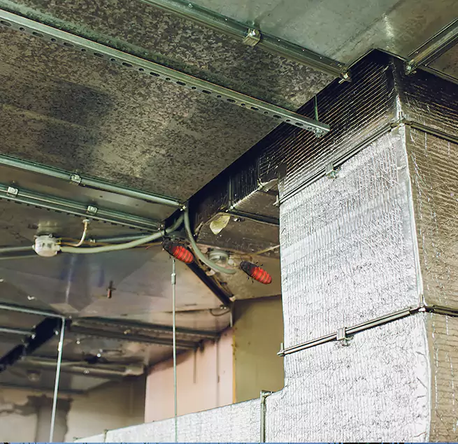 Why Homeowners & Businesses Trust Us in Winter Haven, FL?