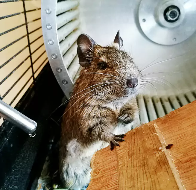 Why Homeowners & Businesses Trust Us Winter Haven, FL