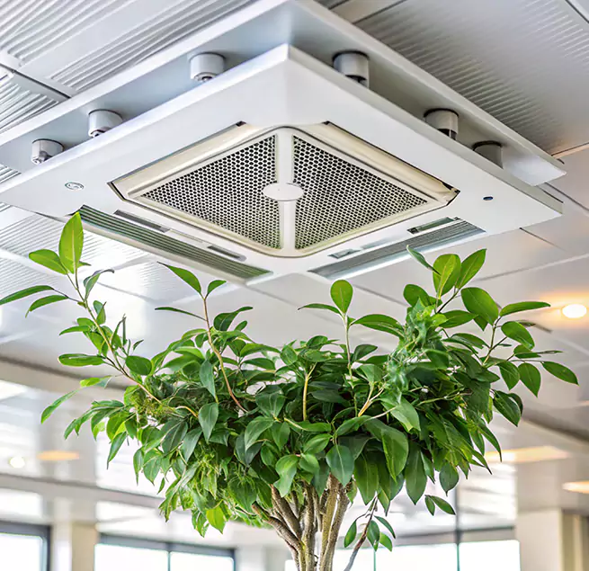 Why Homeowners & Businesses Trust Us in Winter Haven, FL