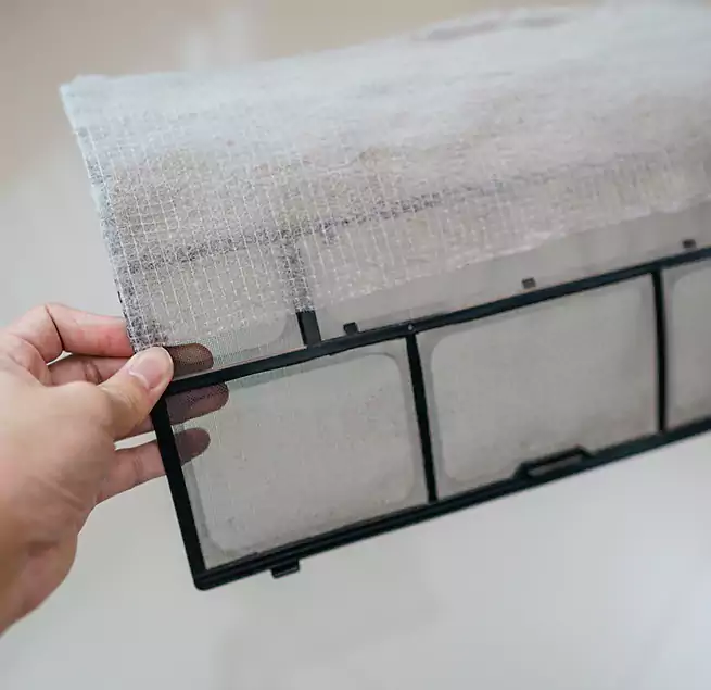 Why Homeowners & Businesses Trust Us in Winter Haven, FL?