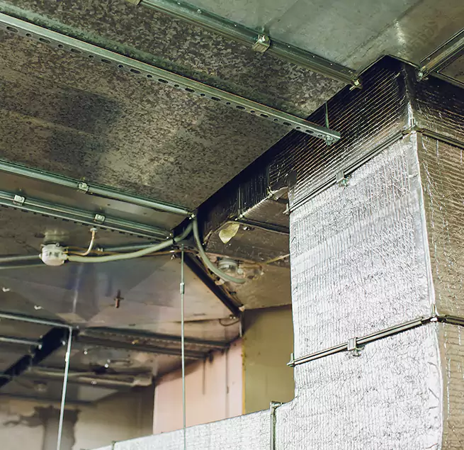 Why Homeowners & Businesses Trust Us in Winter Haven, FL?