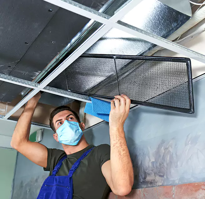 Why Homeowners Businesses Trust Us in Winter Haven, FL?